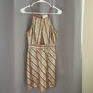 Vestique Champagne Sequin Dress Size Small
